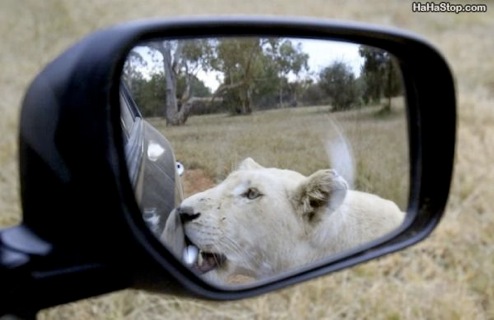 wpid-Can_I_Come_In-2012-08-29-07-55.jpg