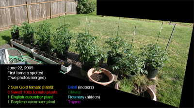 FirstGarden-2009-06-22-09-43.jpg