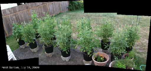 FirstGarden-020090716-2009-07-16-09-03.jpg