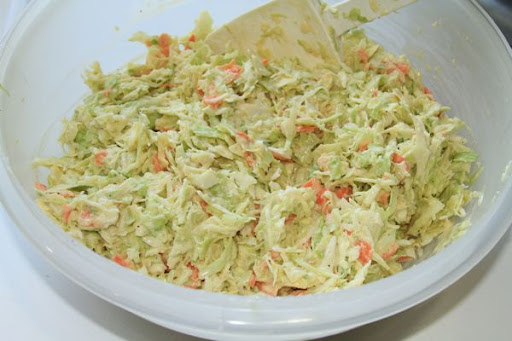 ColeSlaw-2010-07-20-12-14.jpg