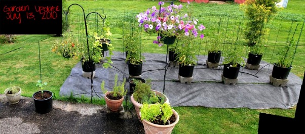 wpid-Garden20100713-2010-08-12-13-36.jpg