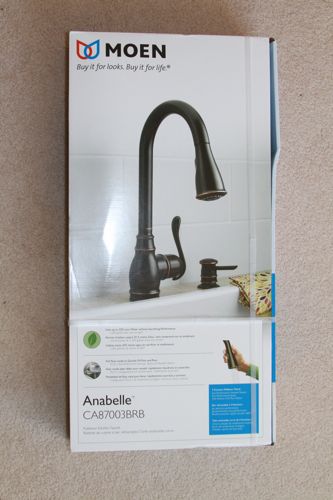 wpid-KitchenFaucet-2010-10-15-17-26.jpg