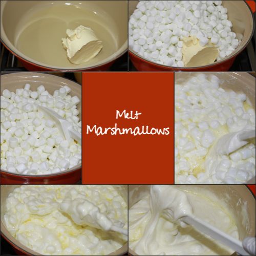 wpid-MeltMarshmallows-2011-01-12-00-01.jpg