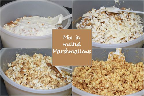 wpid-MixInMeltedMarshmallows-2011-01-12-00-01.jpg