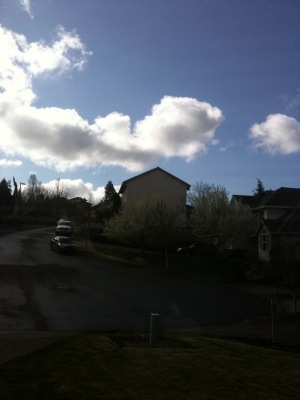 What is that in the sky?