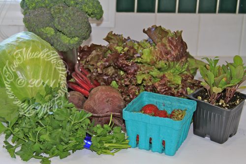 Produce prices – How much is too much to pay?