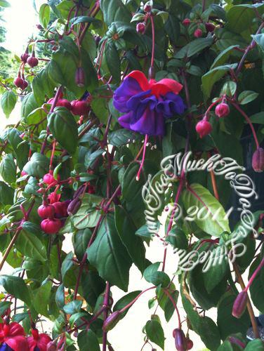 Haven't fallen off planet