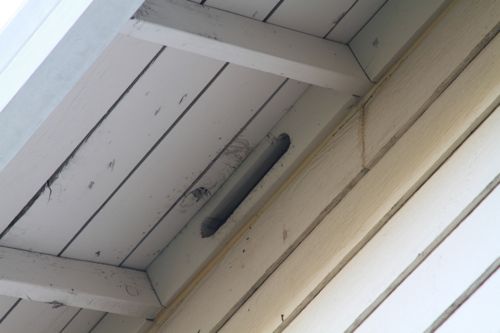 Friday NOT Funny, the Hitchcock Edition