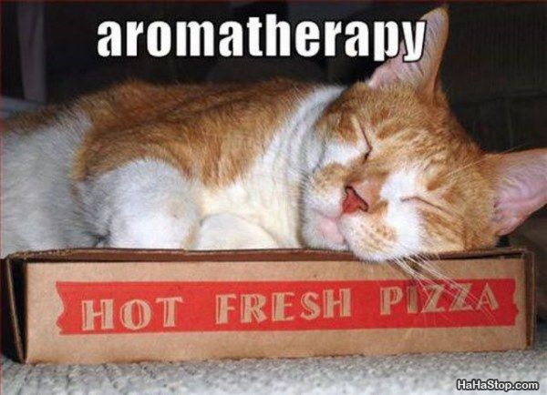 wpid-Aromatherapy-2011-08-5-13-16.jpg