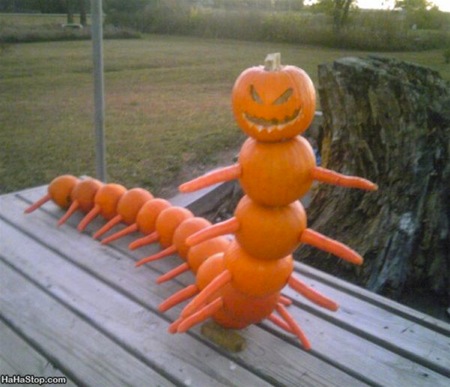 wpid-Centipumpkin-2011-10-31-07-34.jpg