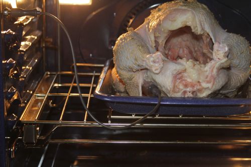 wpid-PerfectTurkey-2-2011-11-19-17-00.jpg