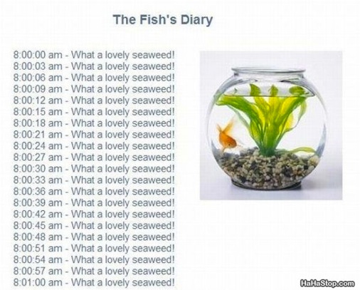 wpid-The_Fish_Diary-2012-01-6-09-30.jpg