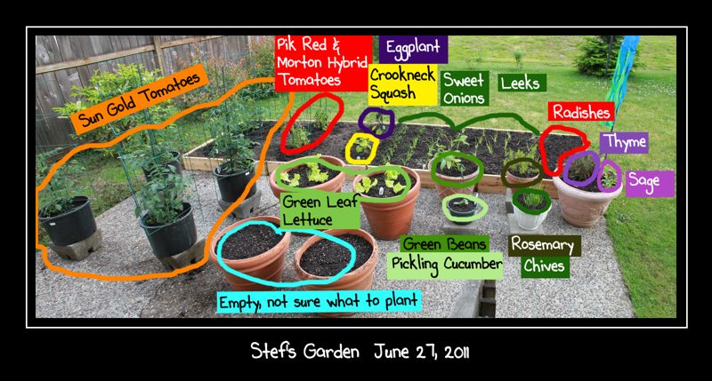wpid-StefsGarden2011-0627-labeled-2011-07-1-00-01.jpg