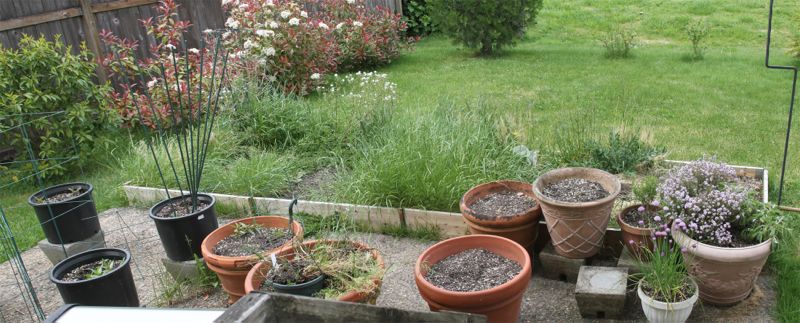 wpid-Garden2012PrepBefore-2012-05-29-13-57.jpg