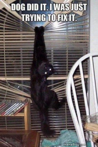 Source: HaHaStop.com