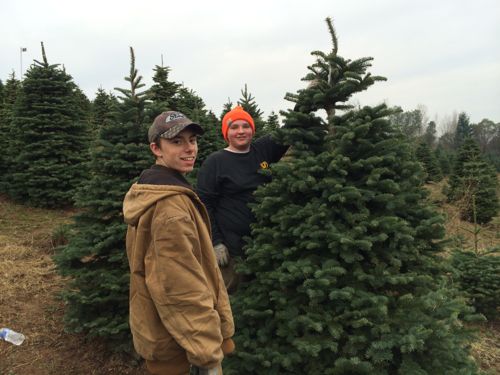 wpid-ChristmasTreeHunting2013-04-2013-12-2-20-55.jpg